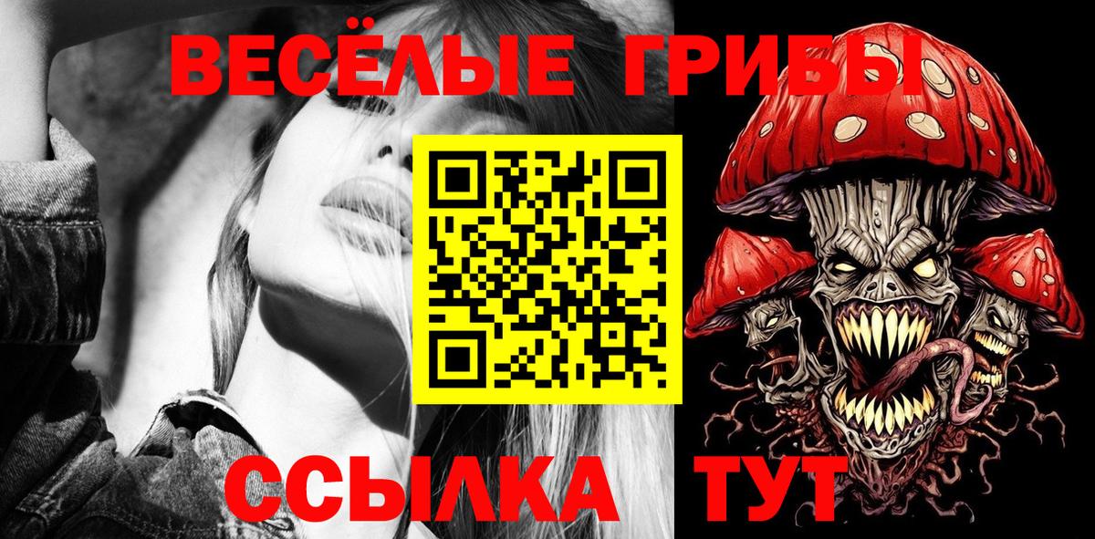 Псилоцибиновые грибы мицелий Ессентуки