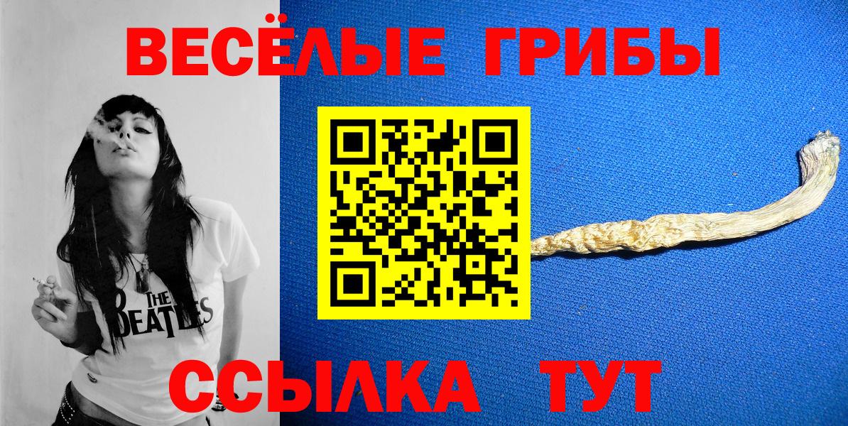 Ессентуки  Псилоцибиновые грибы Psilocybe  наркошоп  Вход с VPN 